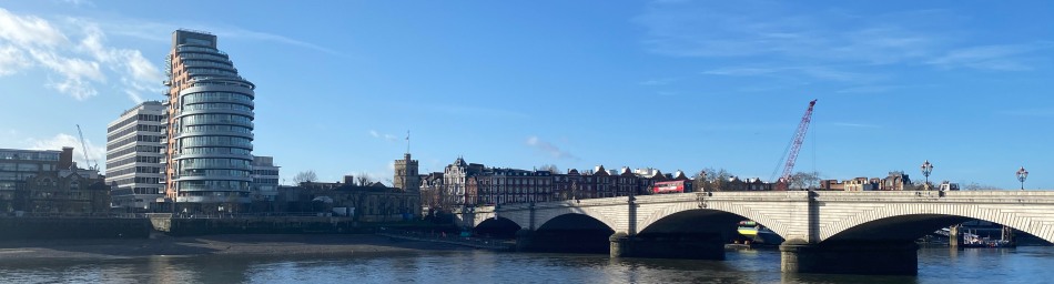 Chartered Surveyor Putney